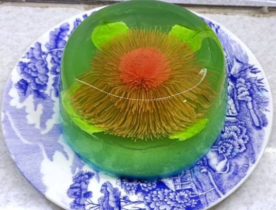 ژله تزریقی مدل گل